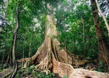 Địa chỉ tham quan nổi tiếng bậc nhất ở khu vực Đông Nam Bộ 