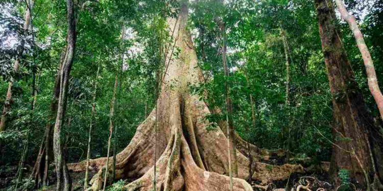 Địa chỉ tham quan nổi tiếng bậc nhất ở khu vực Đông Nam Bộ 