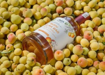 Đặc sản chùa Hương mà bạn nên thử khi đặt chân tới Hà Nội