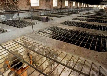 Di tích lịch sử Nhà tù Côn Đảo có bao nhiêu khu vực?