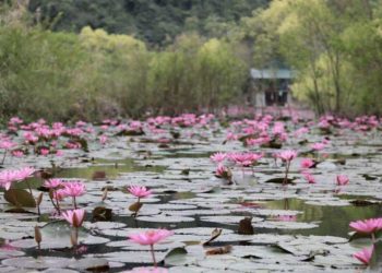 Du lịch chùa Hương - Kinh nghiệm cho người di chuyển tự túc