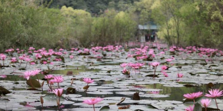 Du lịch chùa Hương - Kinh nghiệm cho người di chuyển tự túc