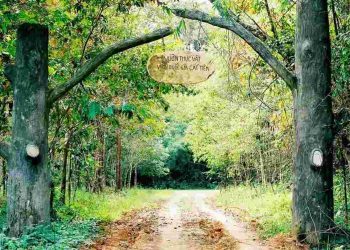 Đây là một trong những điểm đến du lịch hàng đầu của Việt Nam