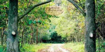 Đây là một trong những điểm đến du lịch hàng đầu của Việt Nam