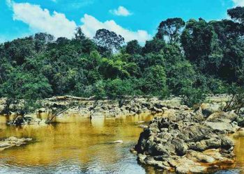 Nên khám phá vườn quốc gia Cát Tiên vào lúc nào?