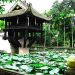 Chùa Một Cột là một trong những chùa lâu đời nhất của Việt Nam.