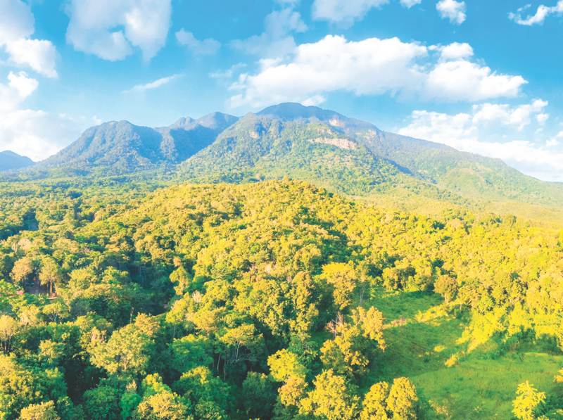 Vườn quốc gia Chư Mom Ray, thiên đường cho người yêu thiên nhiên